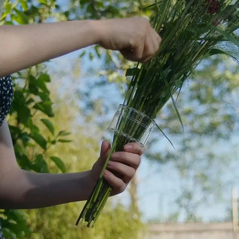 Спиральный Держатель для ствол – обзор и цена Ikebana Vase Kenzan