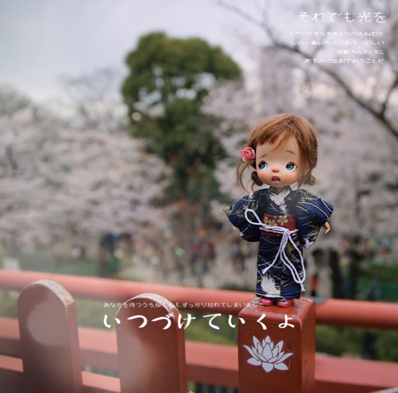 1/8 1/6 1/4 1/3 BJD японское к – обзор и цена Japanese Lifestyle Shoes