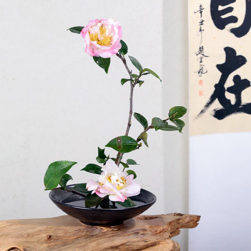 Японская ваза-лягушка, керамич – обзор и цена Ikebana Vase Kenzan